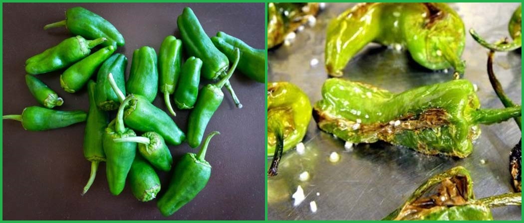 Pimientos de Padron